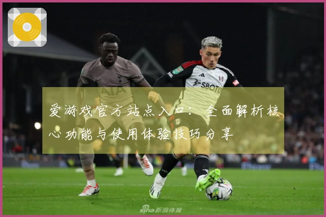 爱游戏官方站点入口：全面解析核心功能与使用体验技巧分享